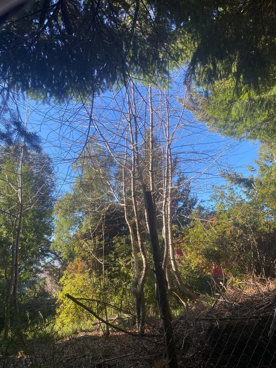 Land in San Carlos de Bariloche