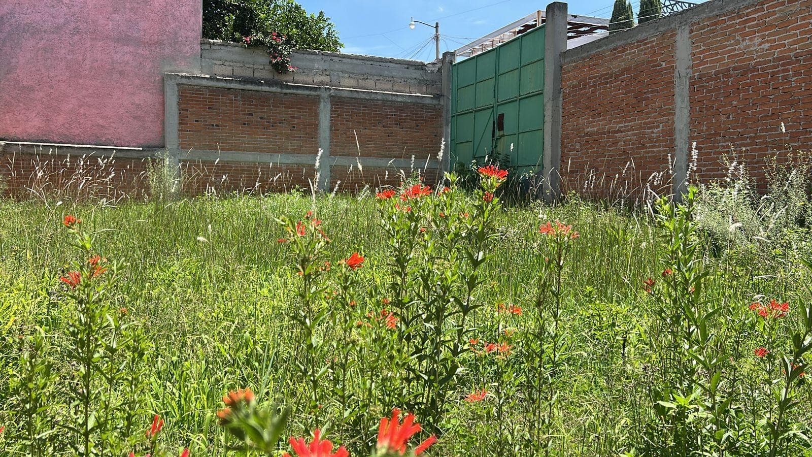 Land for Sale, Nicolas Romero, 155 m2