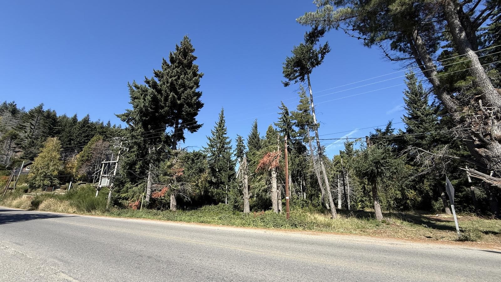 Commercial Land for Sale