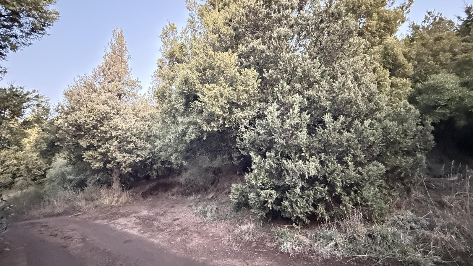 Land for Sale in the Parque Faldeo Neighborhood