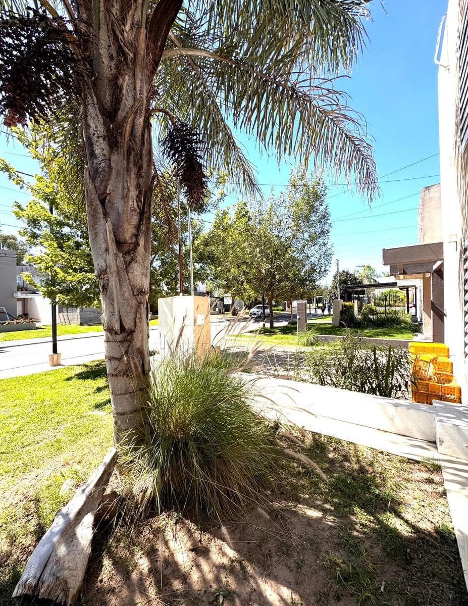 House in Los Boulevares