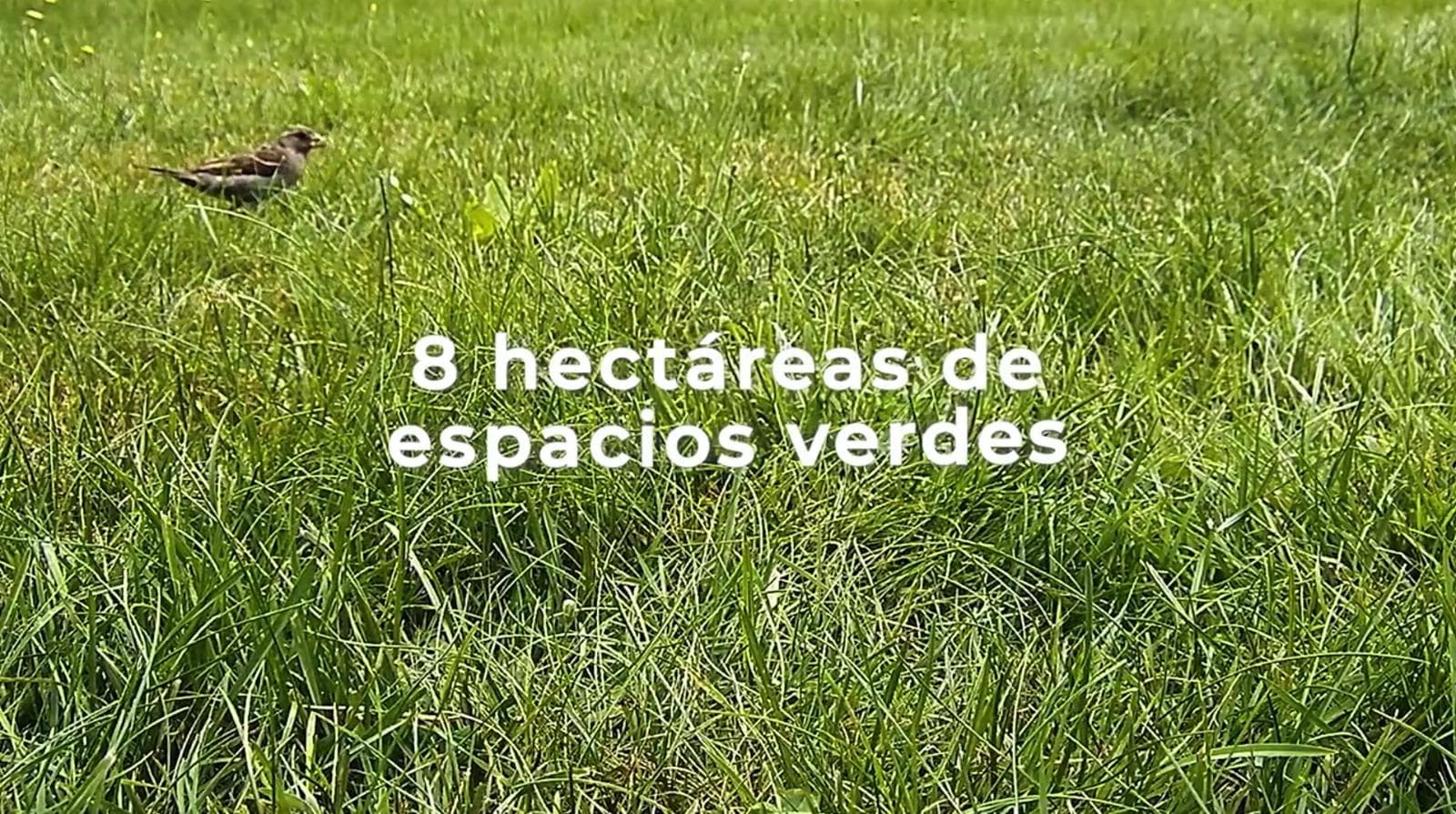 OPPORTUNITY - Land for sale in the Las Tipas neighborhood - Lot 22 - Mza 3 - excellent location