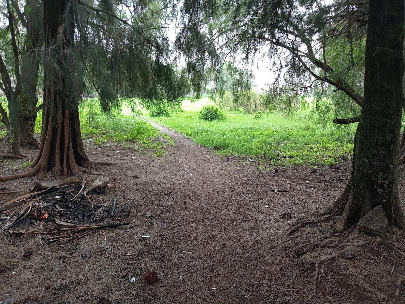 Land for Sale in Ecatepec—Ideal for Development