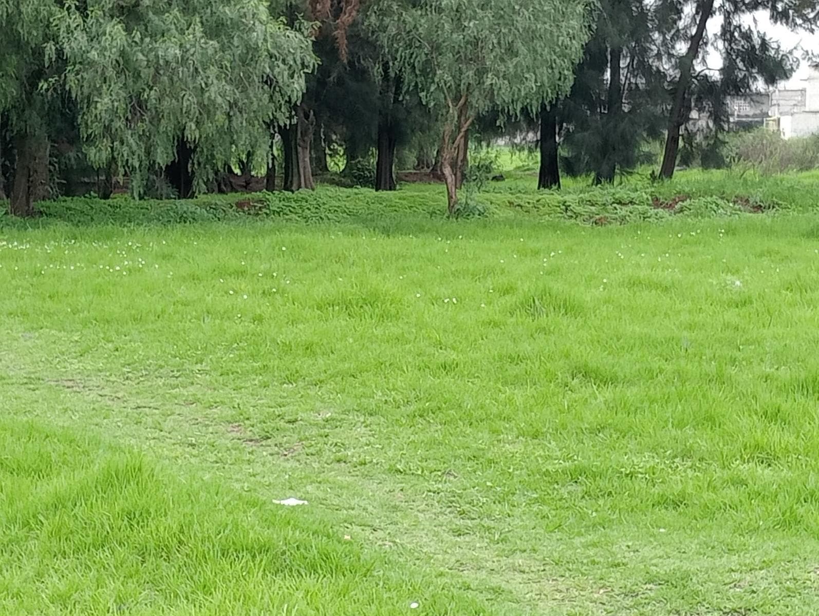Land for Sale in Ecatepec—Ideal for Development
