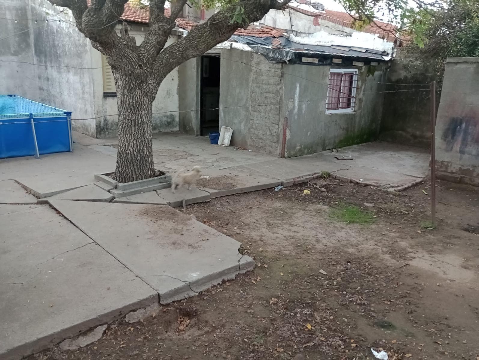 House with 3 bedrooms, a semi-covered garage, and a patio.
