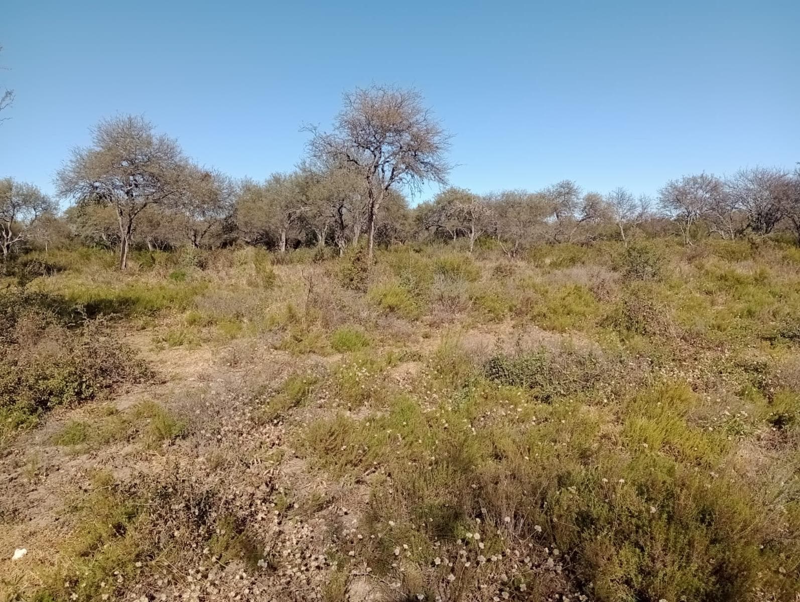 Land for sale in Carpinteria San Luis