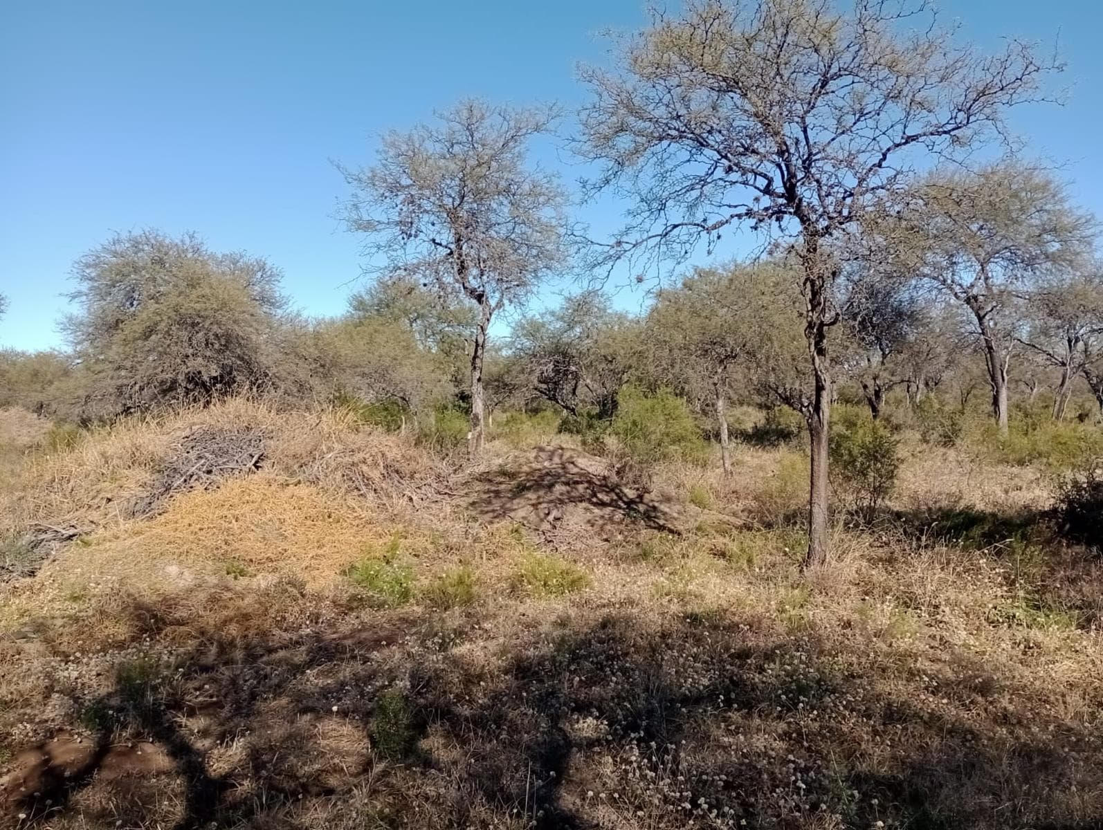Land for sale in Carpinteria San Luis