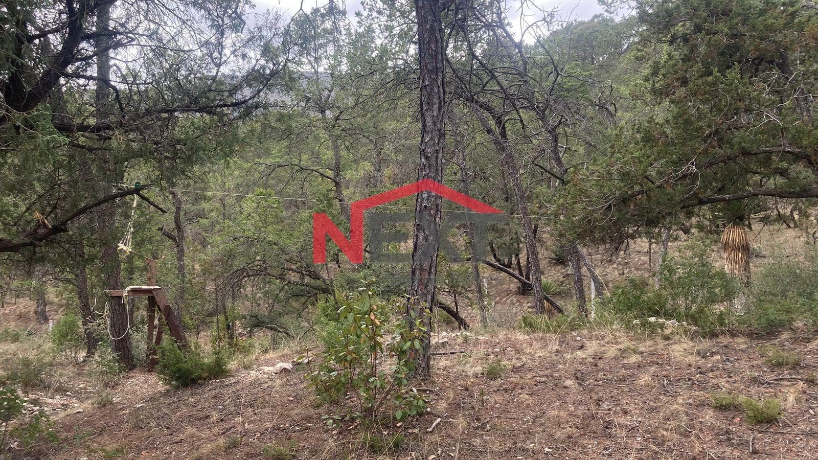 Rural Lot in Pino Real, Arteaga