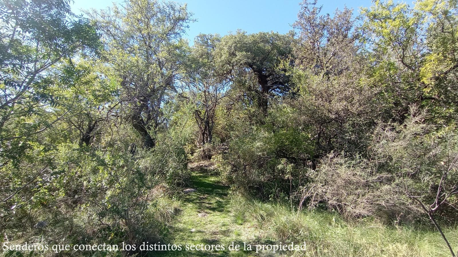 High-Altitude Ranch in Villa de Las Rosas | 2.5 Hectares | Nestled Between Mountains and Valleys