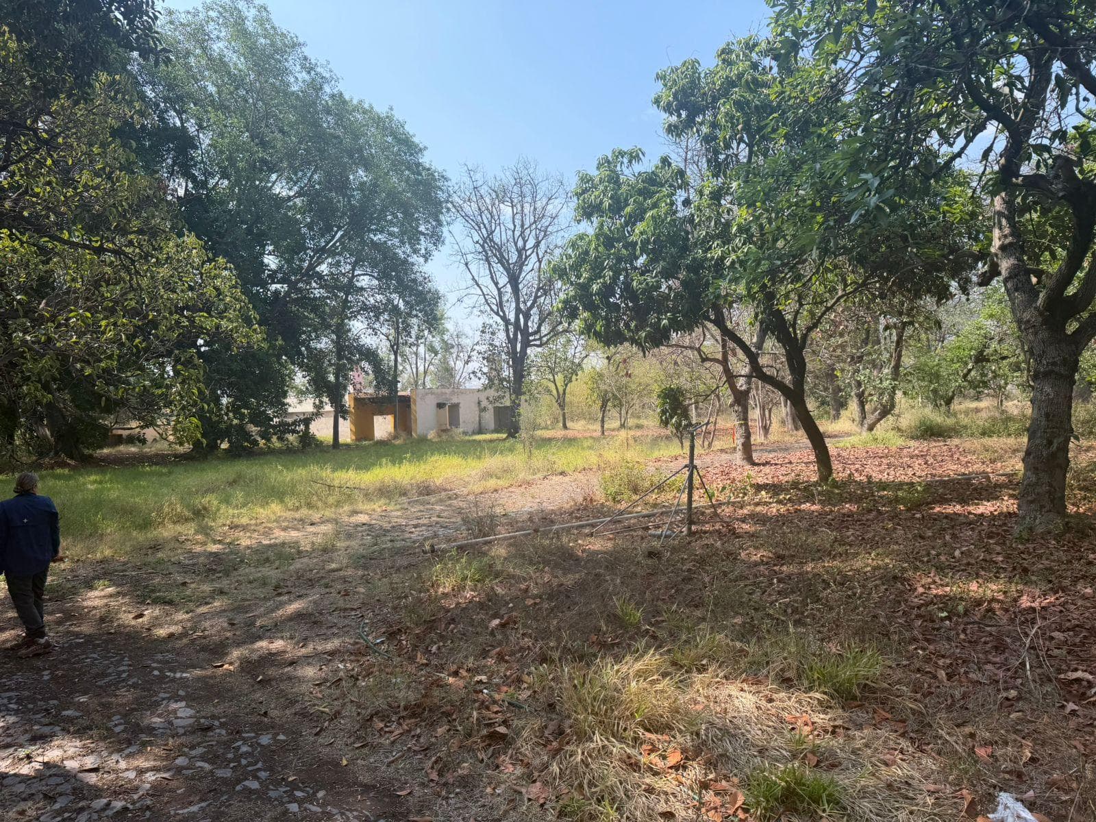 Land in Tlaquepaque