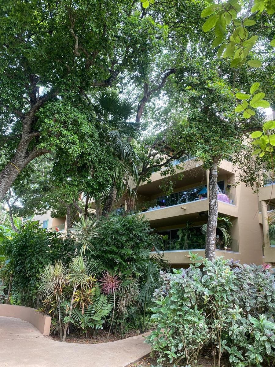 Apartment in Playacar for Sale