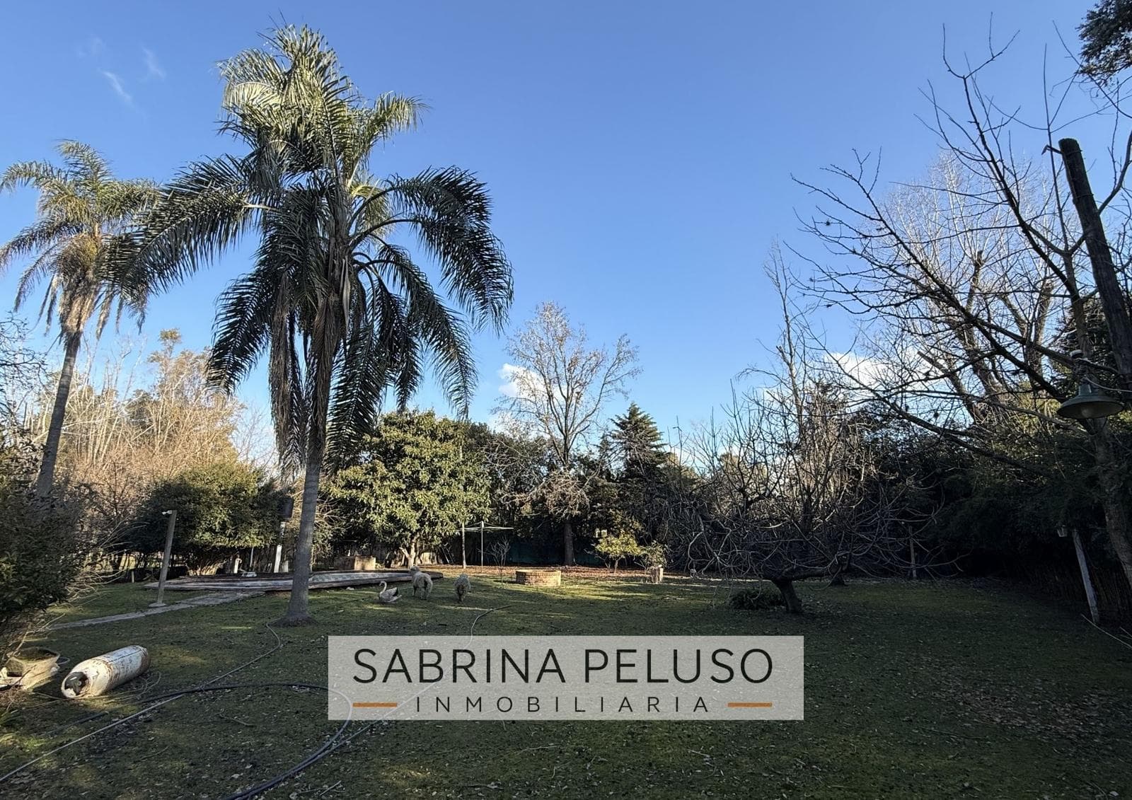Country House for Sale in Francisco Alvarez