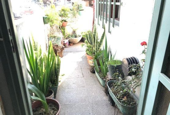 House in Los Polvorines