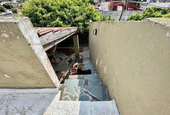 House in Villa Lynch