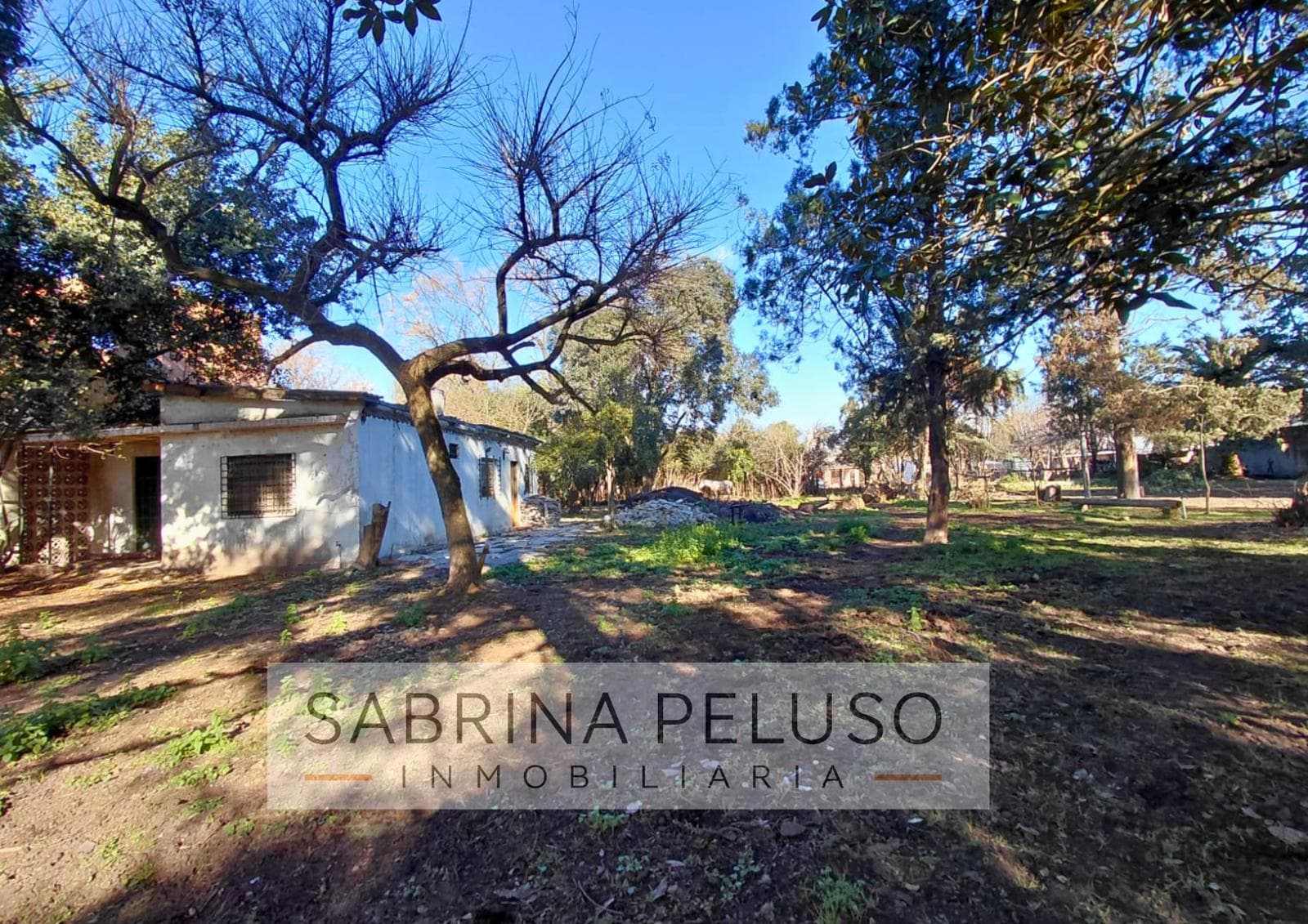 Land for Sale: Francisco Alvarez