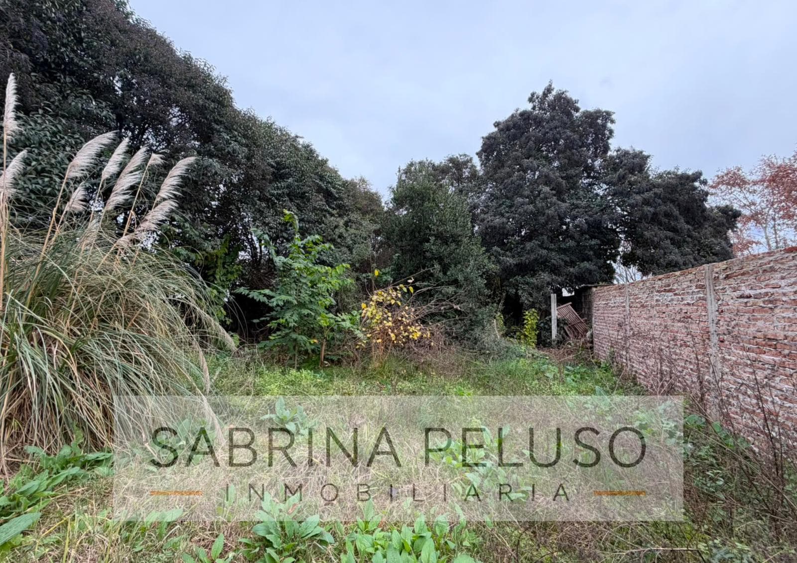 Land in Merlo