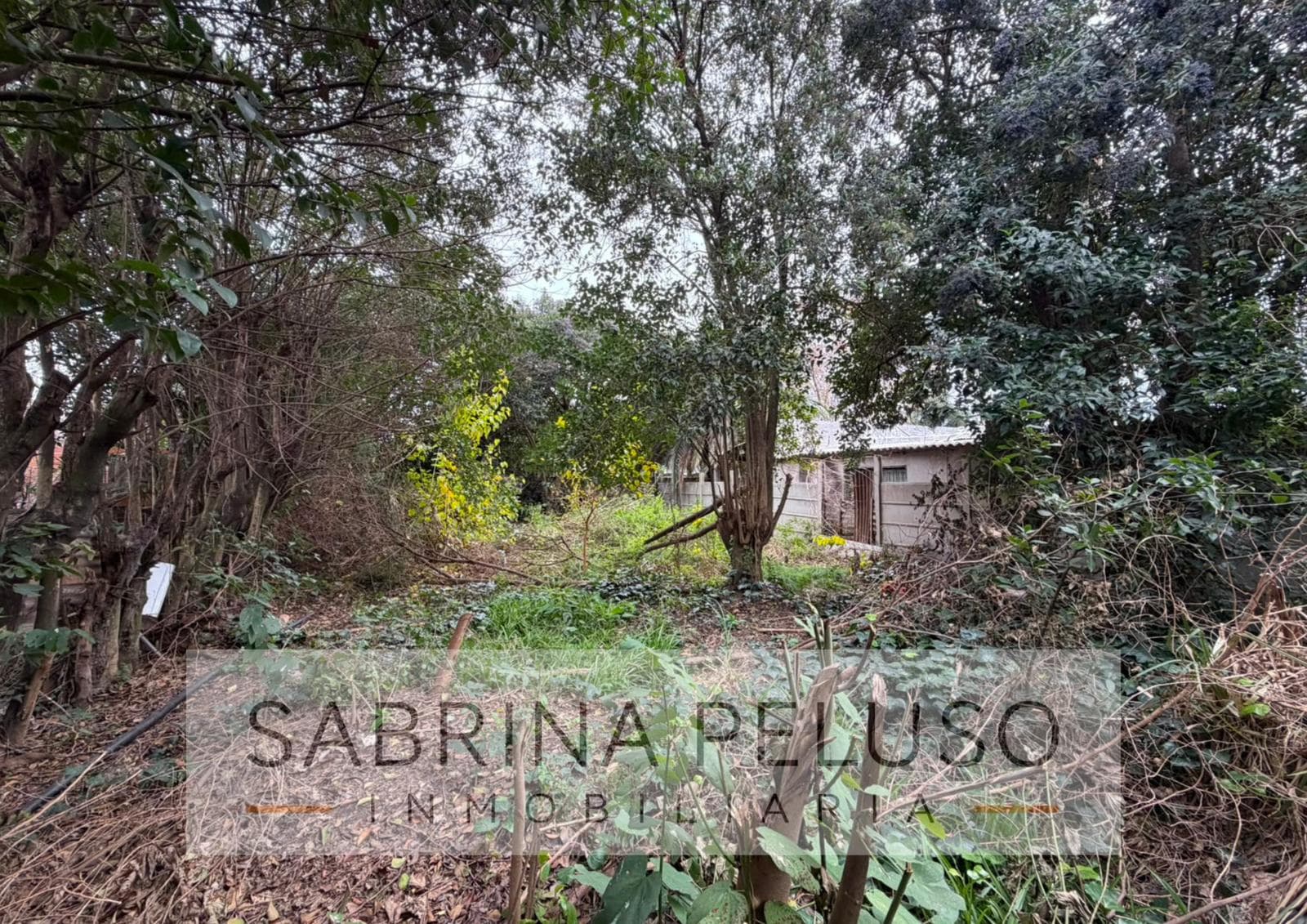 Land in Merlo