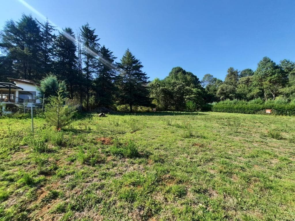 LAND FOR SALE, LAS JOYAS.