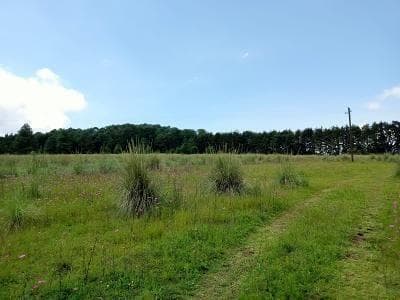 LAND FOR SALE IN EL FRESNO, VALLE DE BRAVO