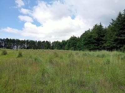 LAND FOR SALE IN EL FRESNO, VALLE DE BRAVO