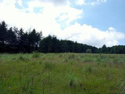 LAND FOR SALE IN EL FRESNO, VALLE DE BRAVO