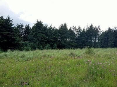 LAND FOR SALE IN EL FRESNO, VALLE DE BRAVO