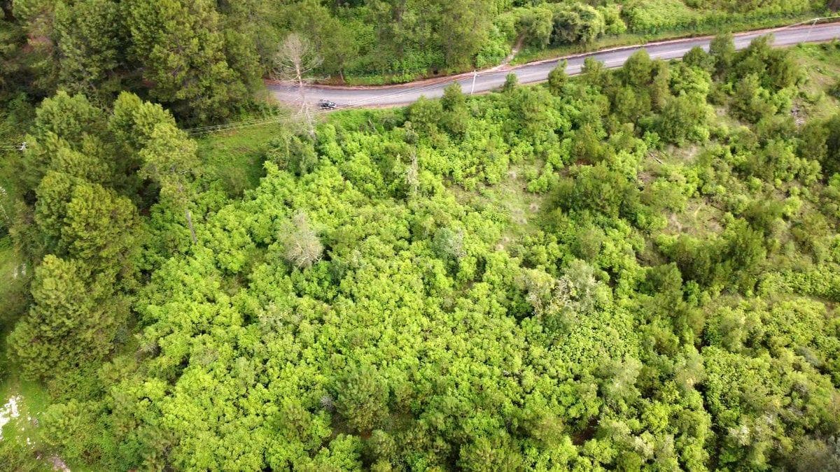 LAND IN MESA RICA, BRAVO VALLEY