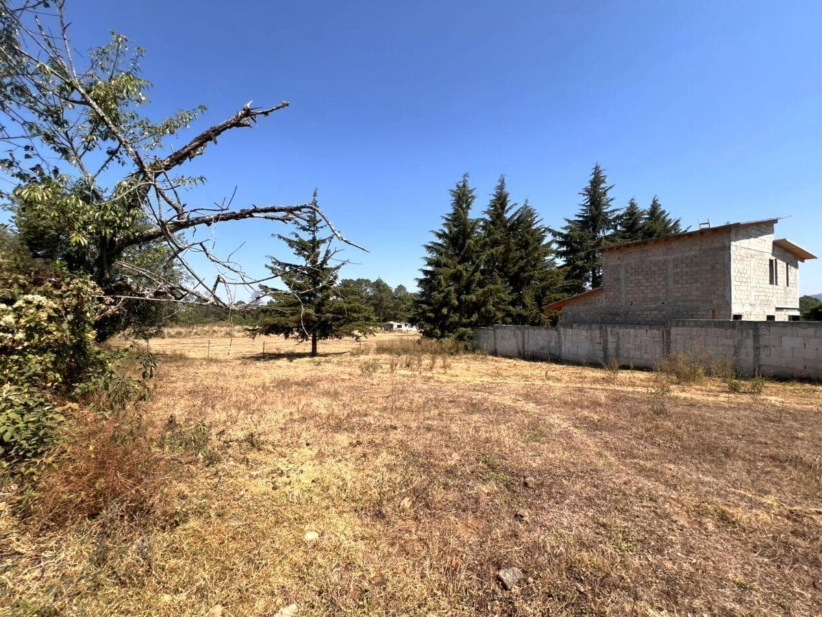 LAND FOR SALE, LA CUADRILLA.