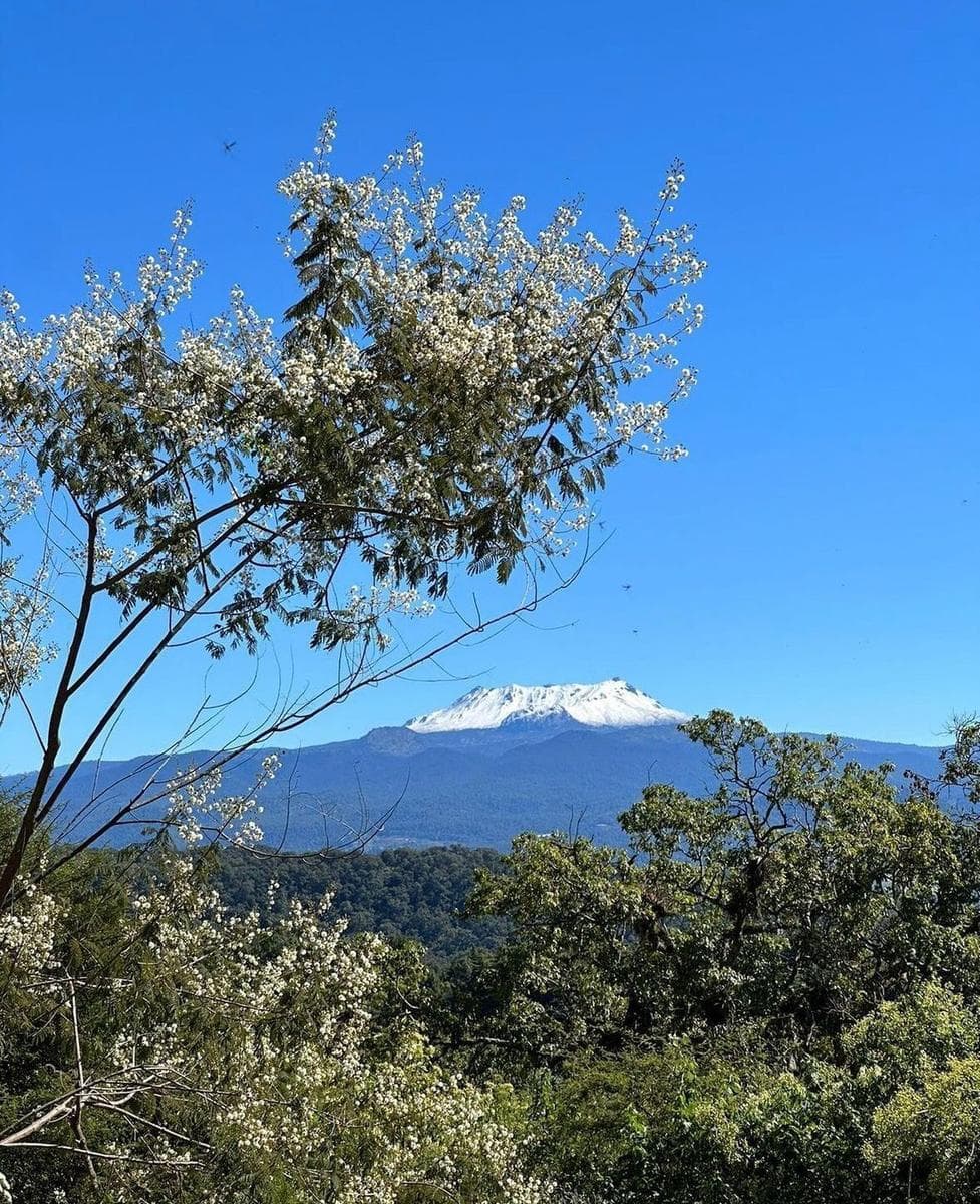 LAND FOR SALE WITHIN A SUBDIVISION IN VALLE DE BRAVO
