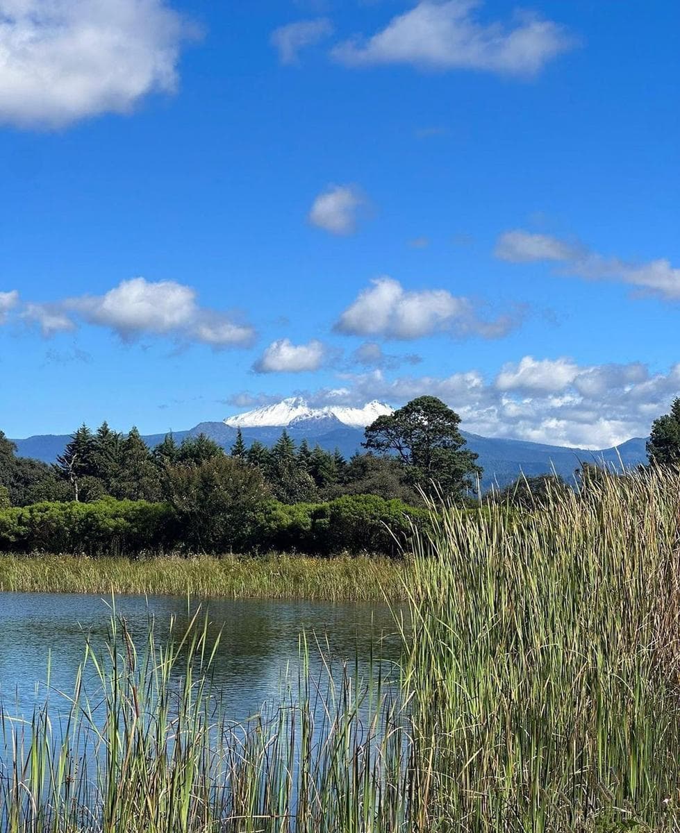LAND FOR SALE WITHIN A SUBDIVISION IN VALLE DE BRAVO