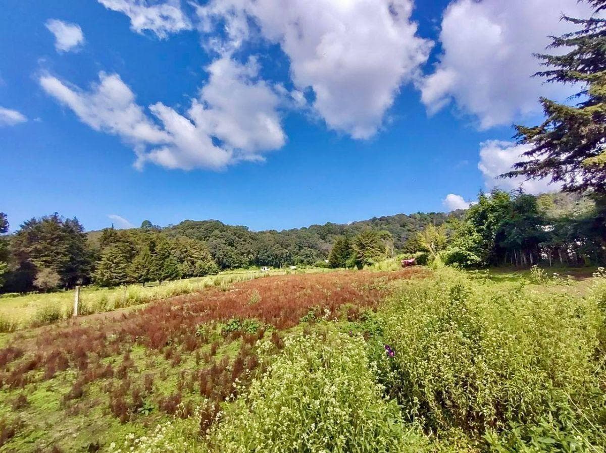LAND FOR SALE, SANTO TOMÁS EL PEDREGAL...