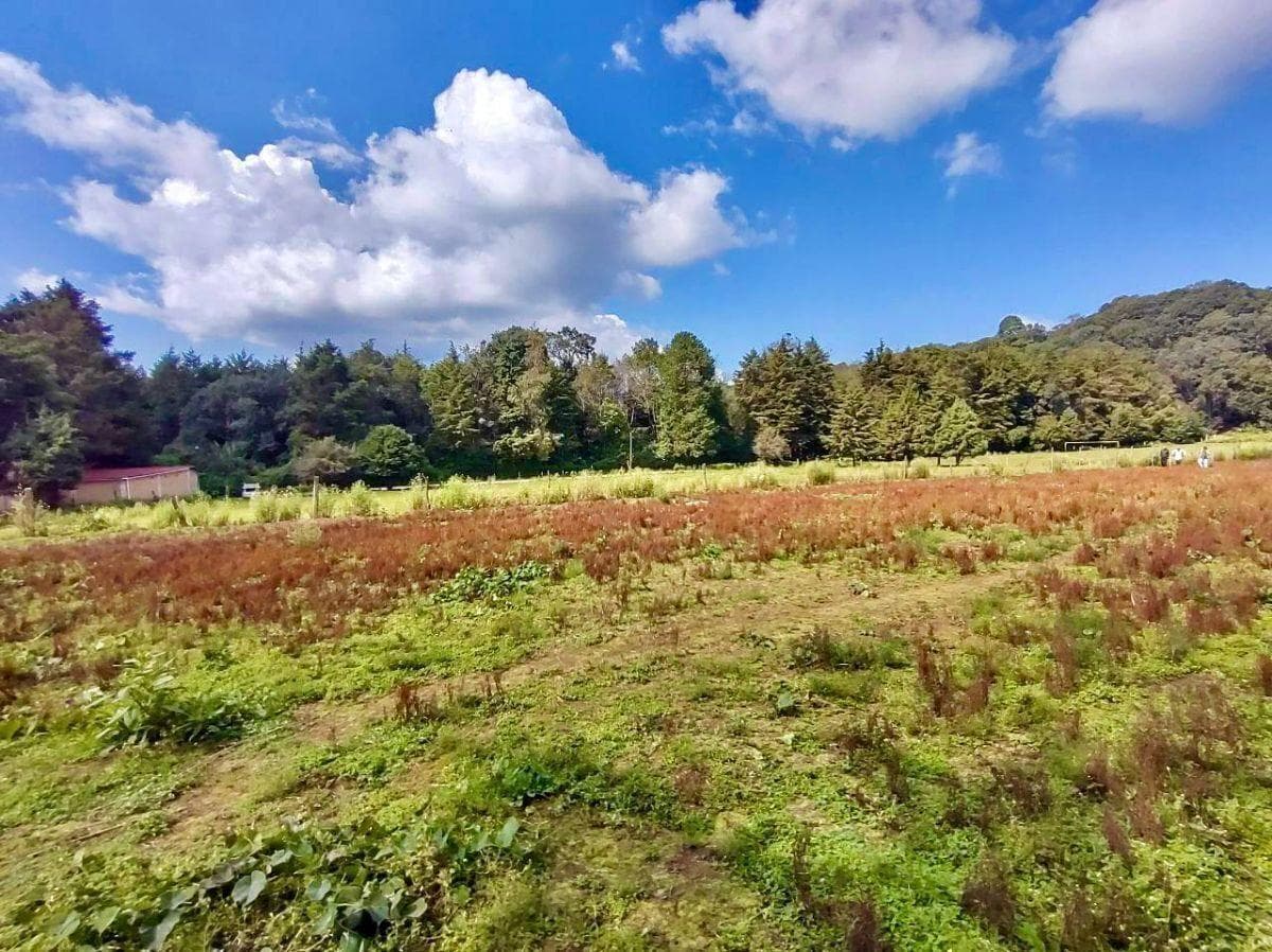 LAND FOR SALE, SANTO TOMÁS EL PEDREGAL...