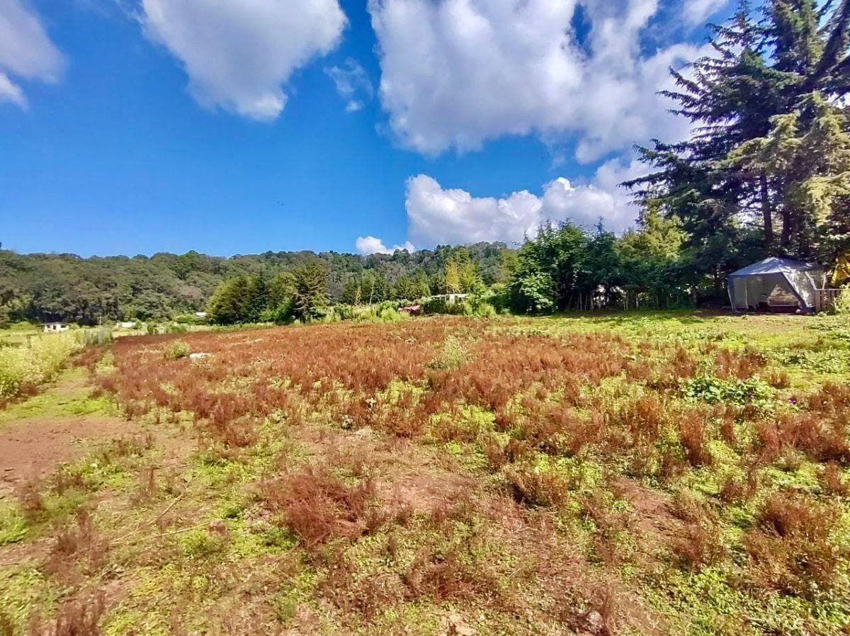 LAND FOR SALE, SANTO TOMÁS EL PEDREGAL...