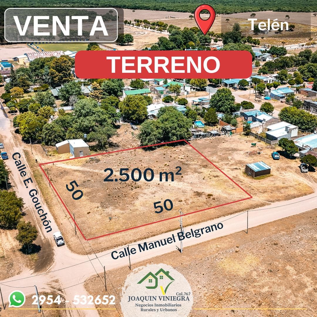 Large Plot of Land for Sale - Telén