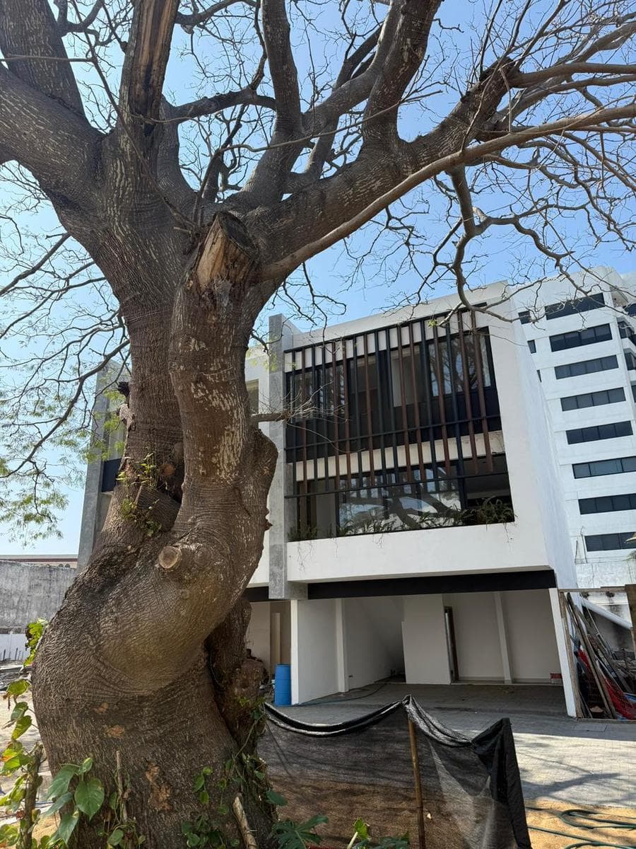 Solara, Homes in a Gated Community with Amenities on Juan Pablo II, Jardines de Virginia, Boca del Río