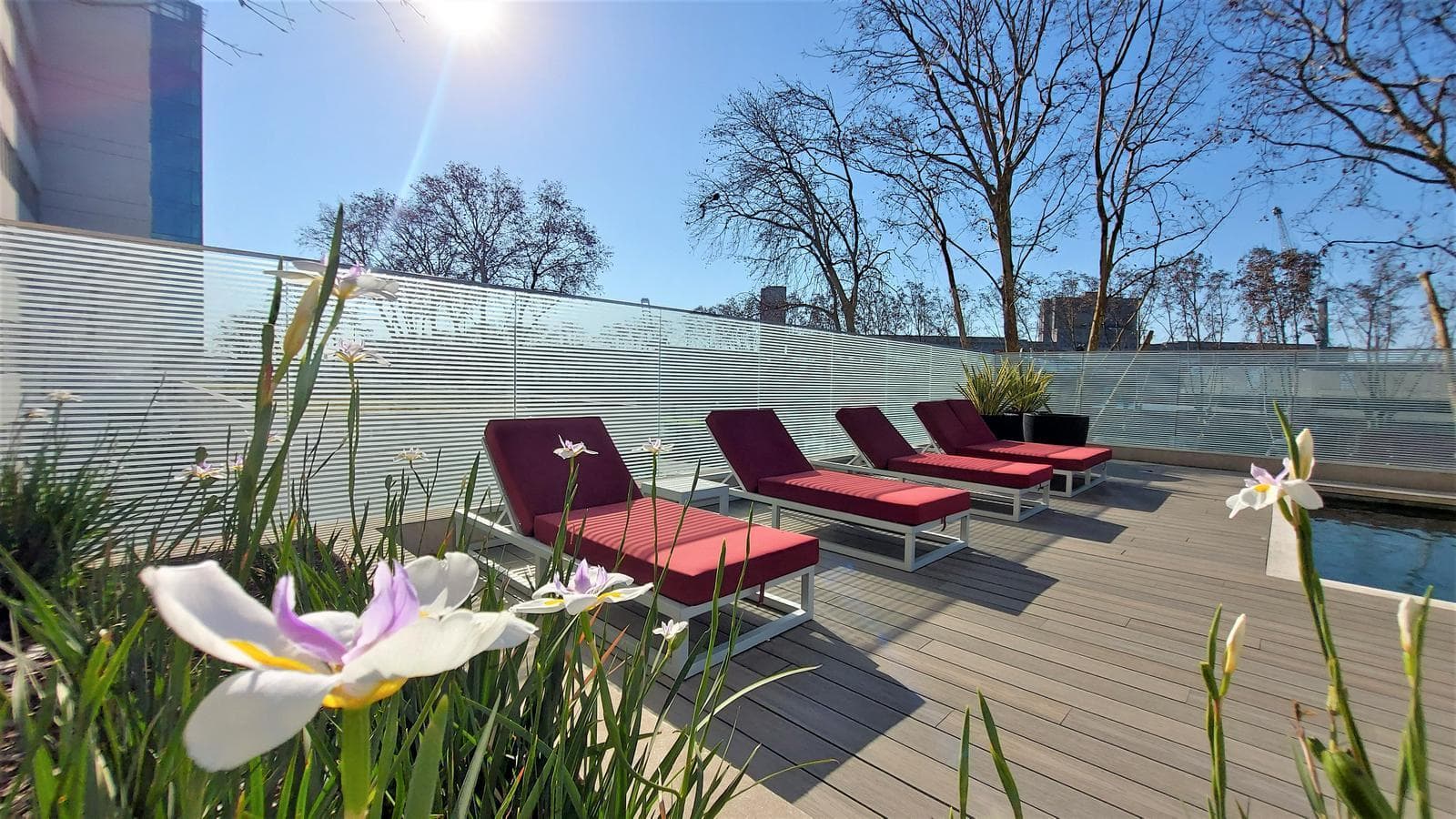 Furnished Apartment for Rent in the Quartier District