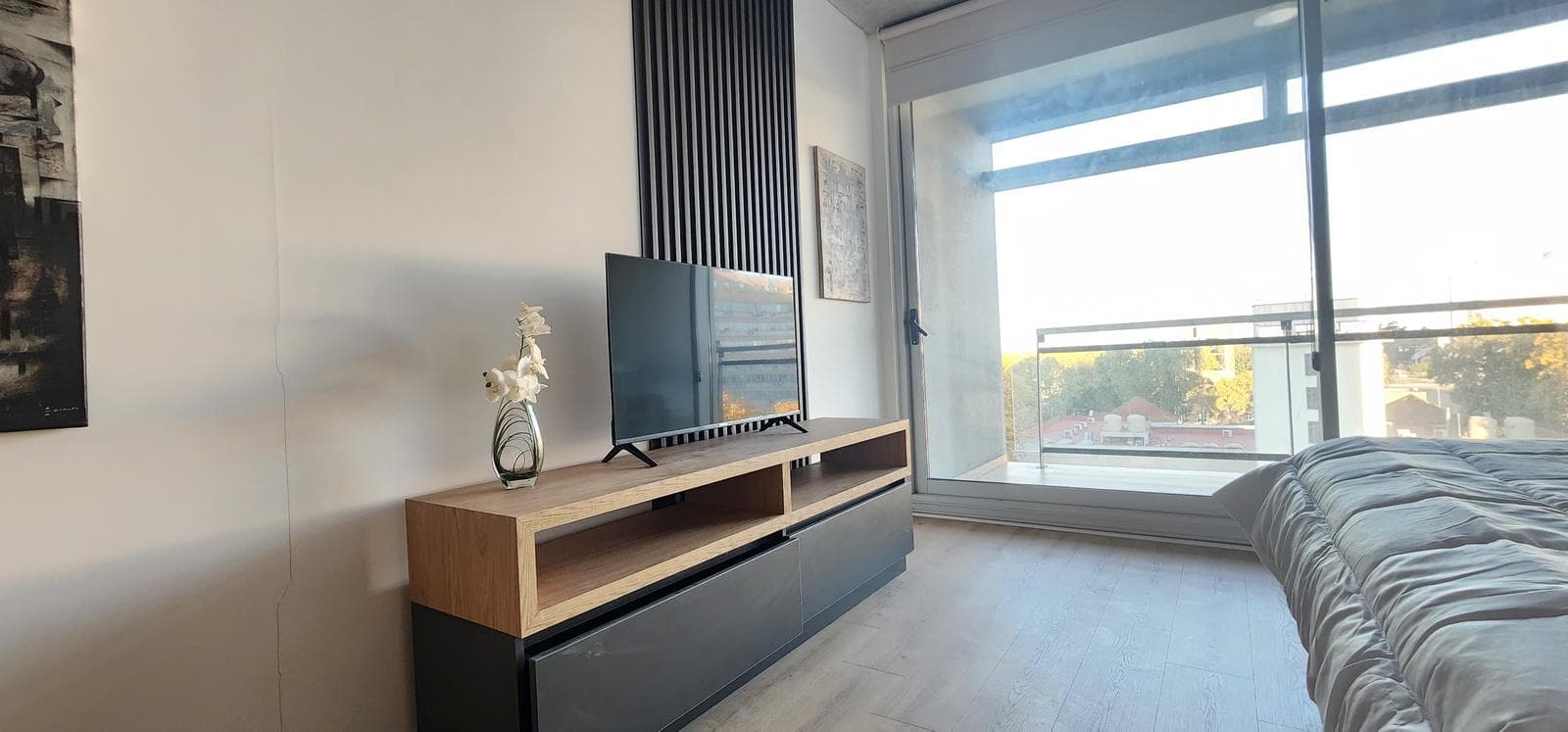 Furnished Apartment for Rent in the Quartier District