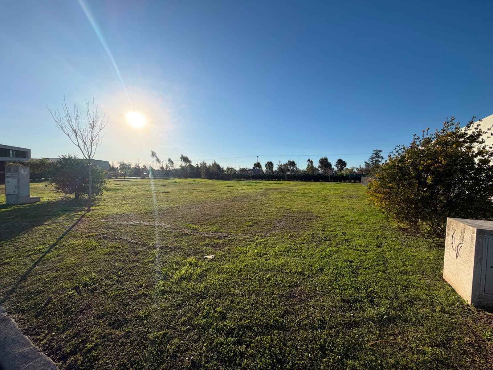 Land in the Vida Neighborhood