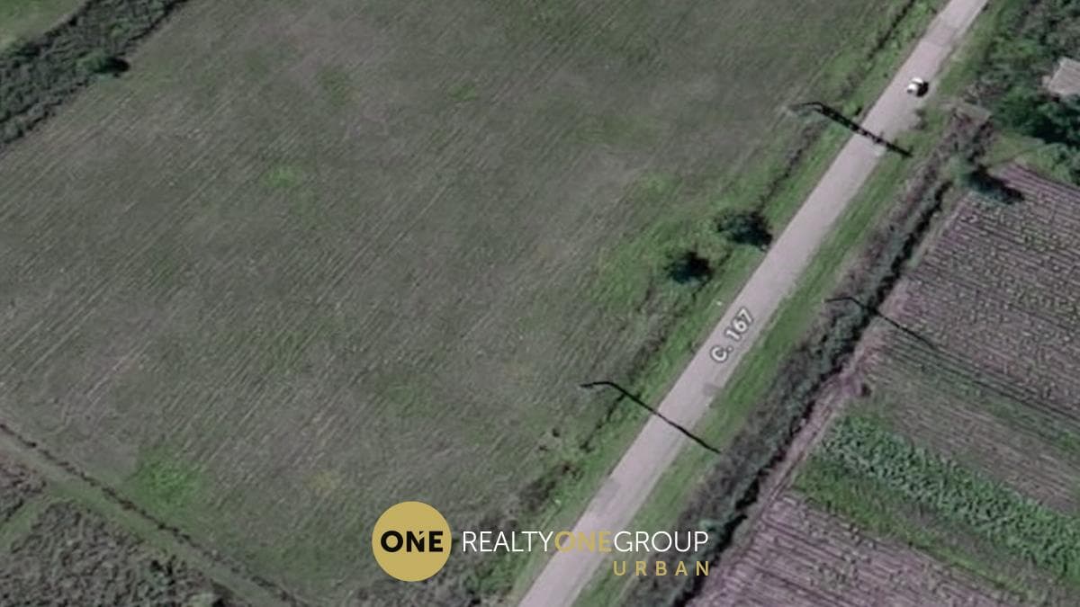 Land in La Plata