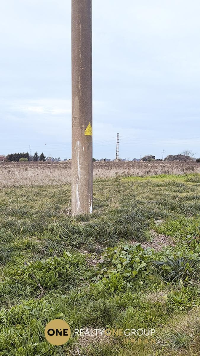 Land in La Plata