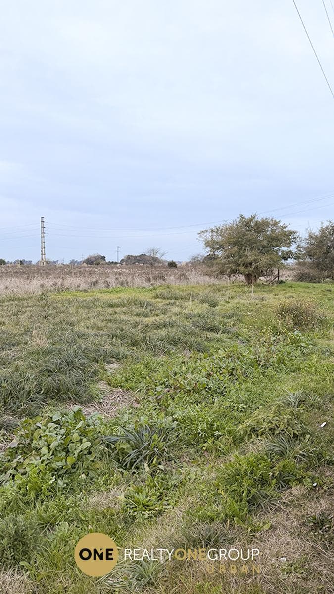 Land in La Plata