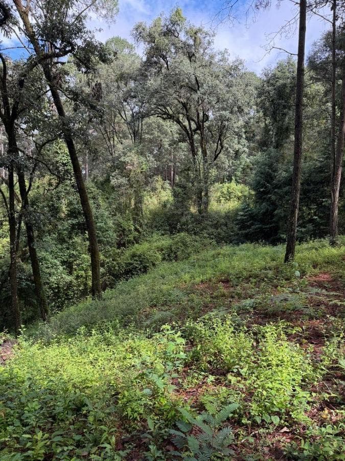4,726 m² lot for sale in Avandaro