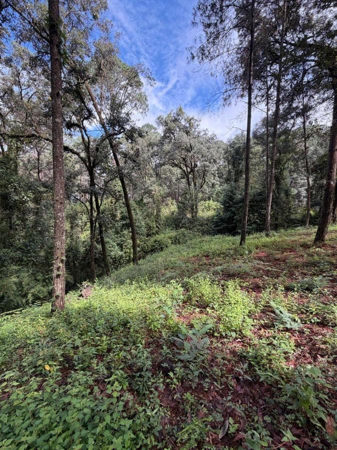 4,726 m² lot for sale in Avandaro