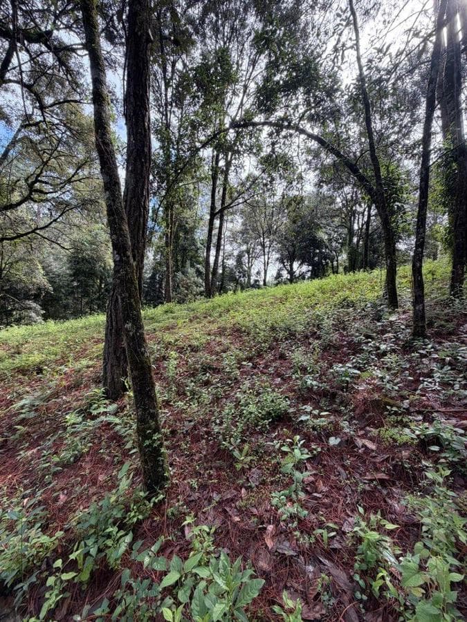4,726 m² lot for sale in Avandaro