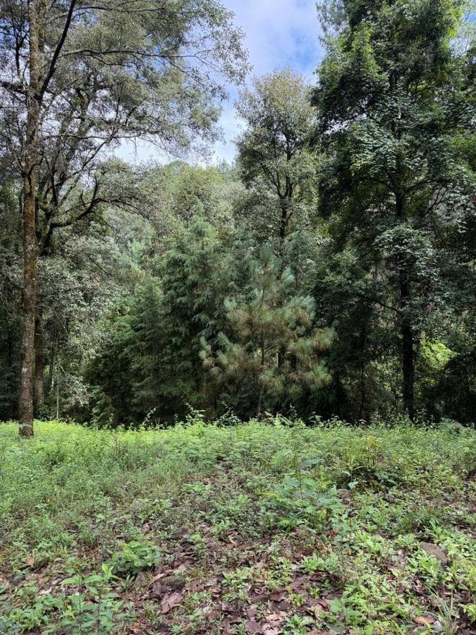 4,726 m² lot for sale in Avandaro