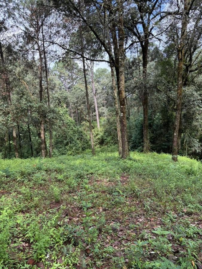 4,726 m² lot for sale in Avandaro