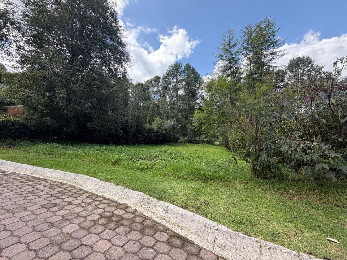 Last 912 m² Lot for Sale in Rancho Avandaro
