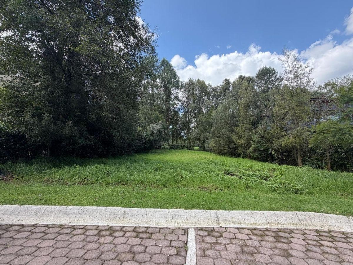 Last 912 m² Lot for Sale in Rancho Avandaro