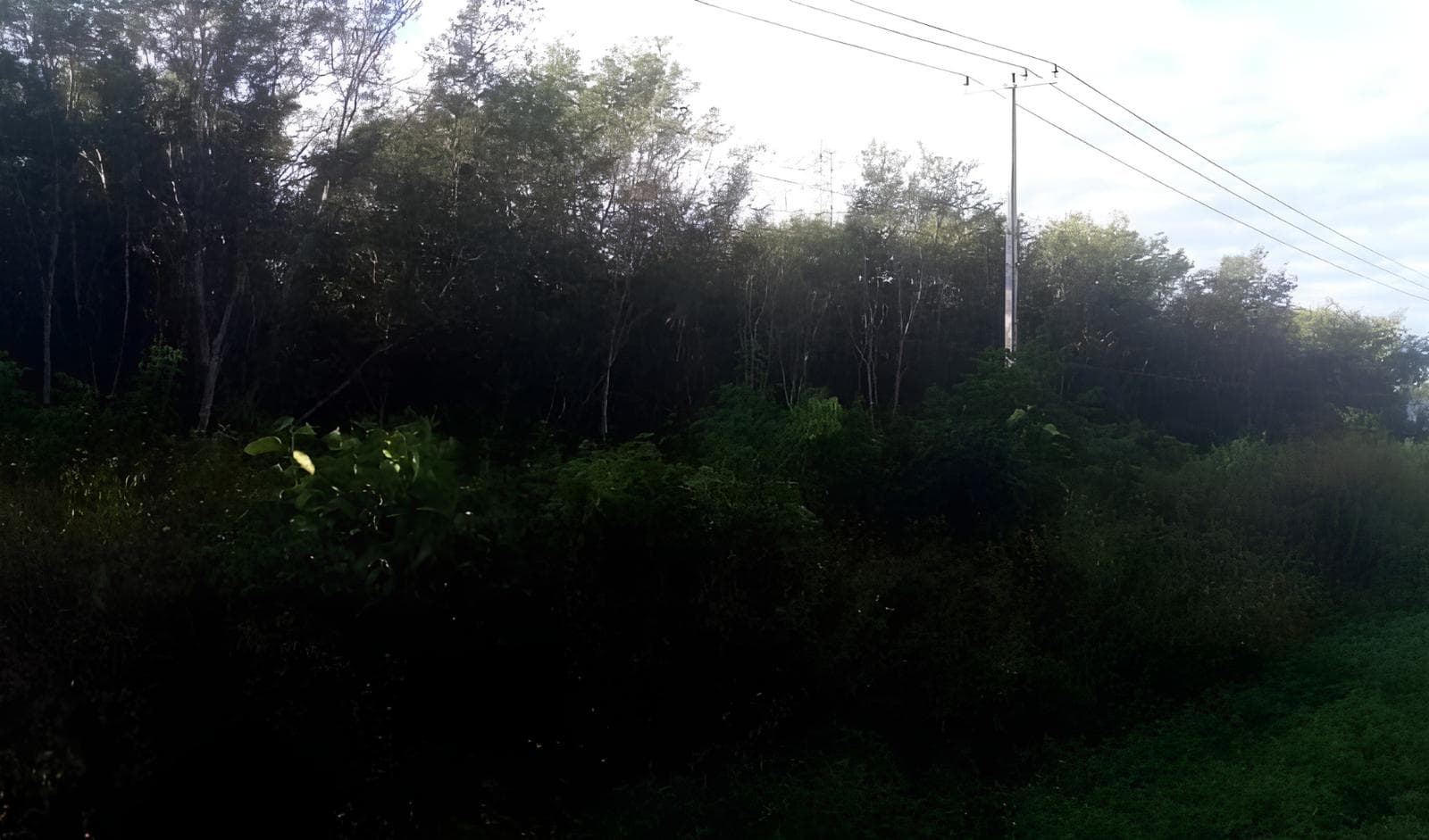 LAND FOR SALE IN LEONA VICARIO