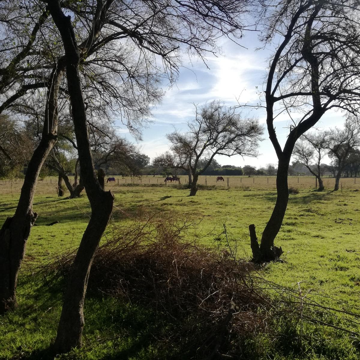2.5-hectare lot for sale with a country house, shed, and pool in Cardales